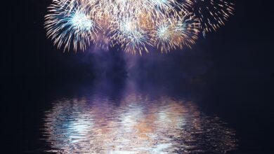 Bigstock A Collage Of Exploding Firewor 13819127 390x220
