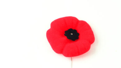 Bigstock Remeberance Day Poppy 1066774 390x220