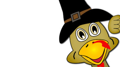 Bigstock Thanksgiving Turkey Face 3638124 390x220