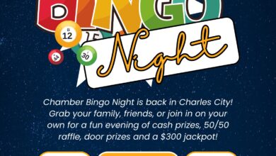 Bingo In CC Nov 2024 390x220