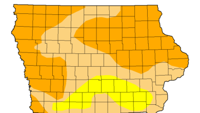 Drought Map 102924 390x220