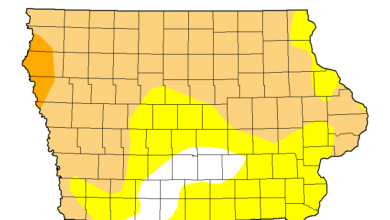 Drought Map 111924 390x220