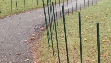 Memory Lane Poles 390x220