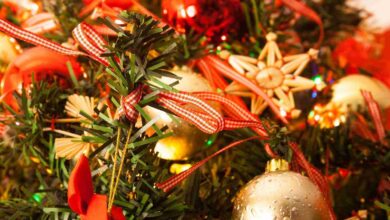 Inside The Christmas Tree