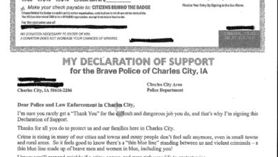 Declaration Of Support 390x220