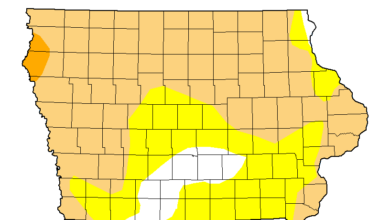 Drought Map 121024 390x220