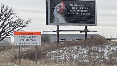 Peta Billboard Scaled E1733704860331 390x220