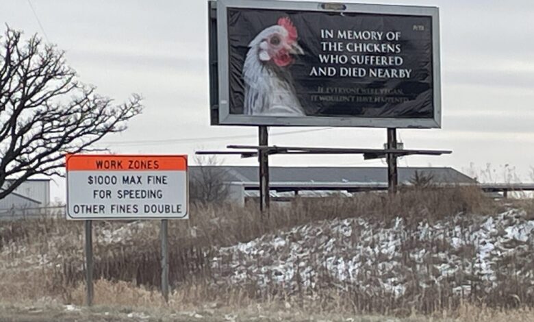 Peta Billboard Scaled E1733704860331 780x470