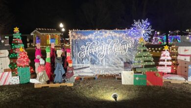 Santas Shining Lights 2024 390x220