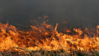 Bigstock Grassfire 516230 390x220