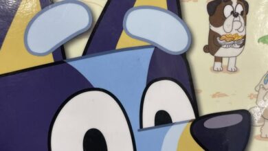 Bluey 390x220