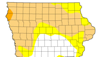 Drought Map 123124 390x220