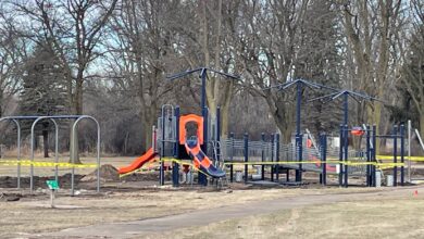 Inclusive Playground 010225 390x220