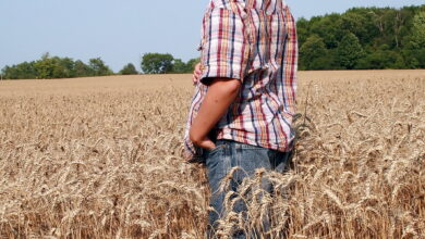 Bigstock Young Farmer 1917176 390x220