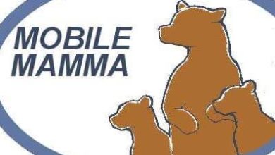Mobile Mamma 390x220