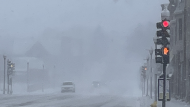 Blizzard 030525 390x220