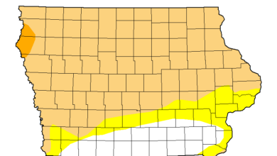 Drought Map 030425 390x220