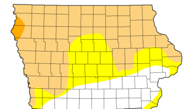 Drought Map 031125 390x220
