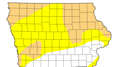 Drought Map 032525 390x220