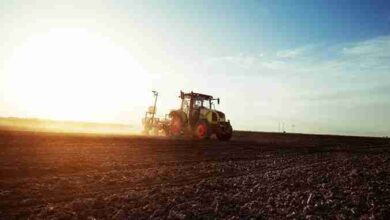 Farmer Planting Corn Sow 390x220