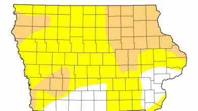 Drought Map 041525 390x220