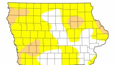Drought Map 042225 390x220