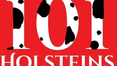 101 Holsteins E1748009442129 390x220