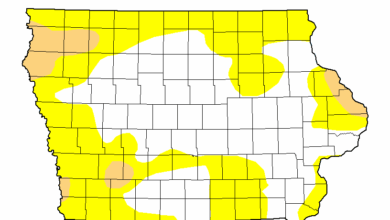 Drought Map 050625 390x220