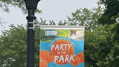 Party In The Park Banner 2025 390x220
