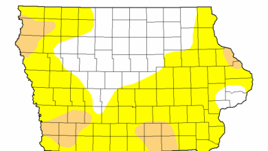 Drought Map 061725 390x220