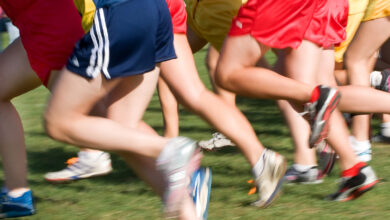 Cross Country 390x220