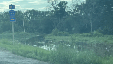 Flooding Chickasaw Co 081925 390x220