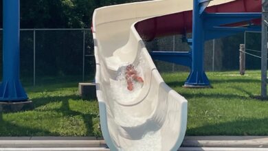 Lions Field Pool Slide 390x220