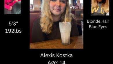 Alexis Kostka Missing 101325 390x220
