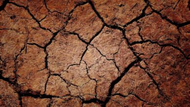 Cracked Earth