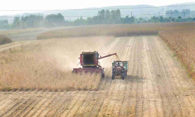 Soybean Harvest