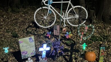 Bulls Vrba Bike Memorial 390x220