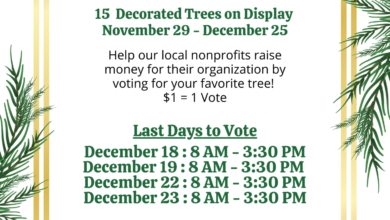 2025 Festival Of Trees Last Dates 390x220