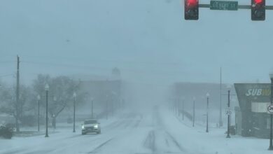 Blizzard In CC 122825 390x220