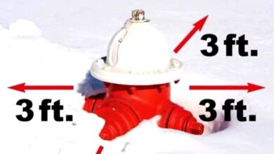 Fire Hydrants Clear Of Snow 390x220