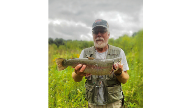 Ron Sonberg 390x220