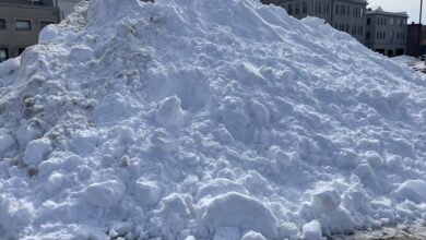 Snow Pile 022726 390x220