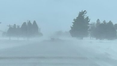 Blowing Snow 390x220