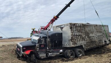 Livestock Trailer Crashes In Chickasaw County 390x220
