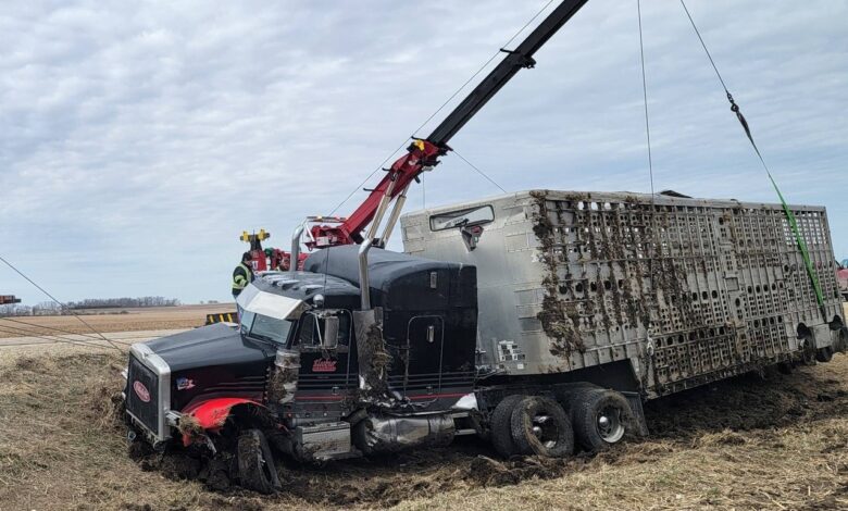 Livestock Trailer Crashes In Chickasaw County 780x470