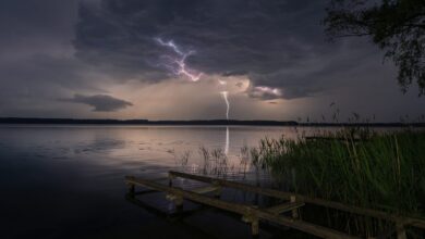 Shutterstock 2627547659 390x220