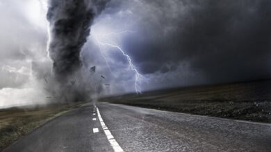Shutterstock 107588384 390x220