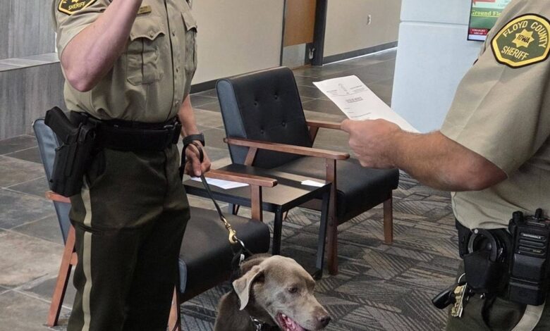 FCSO Deputy Welper And Emmylou 780x470