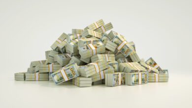 Shutterstock 2369628185 Scaled 390x220
