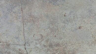 Shutterstock 2694688211 Scaled 390x220